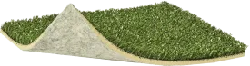 Arena Pro Turf - (Silverback)