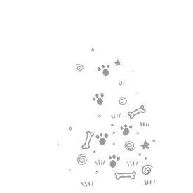 Illustration: Bone Stars Right