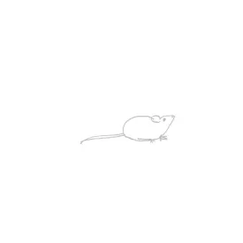 Illustration: Mouse 2