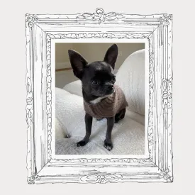 Portrait: Chico