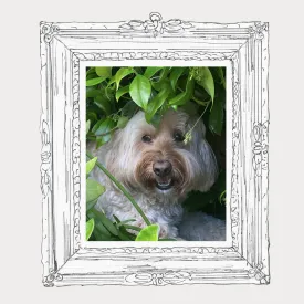 Portrait: Marley