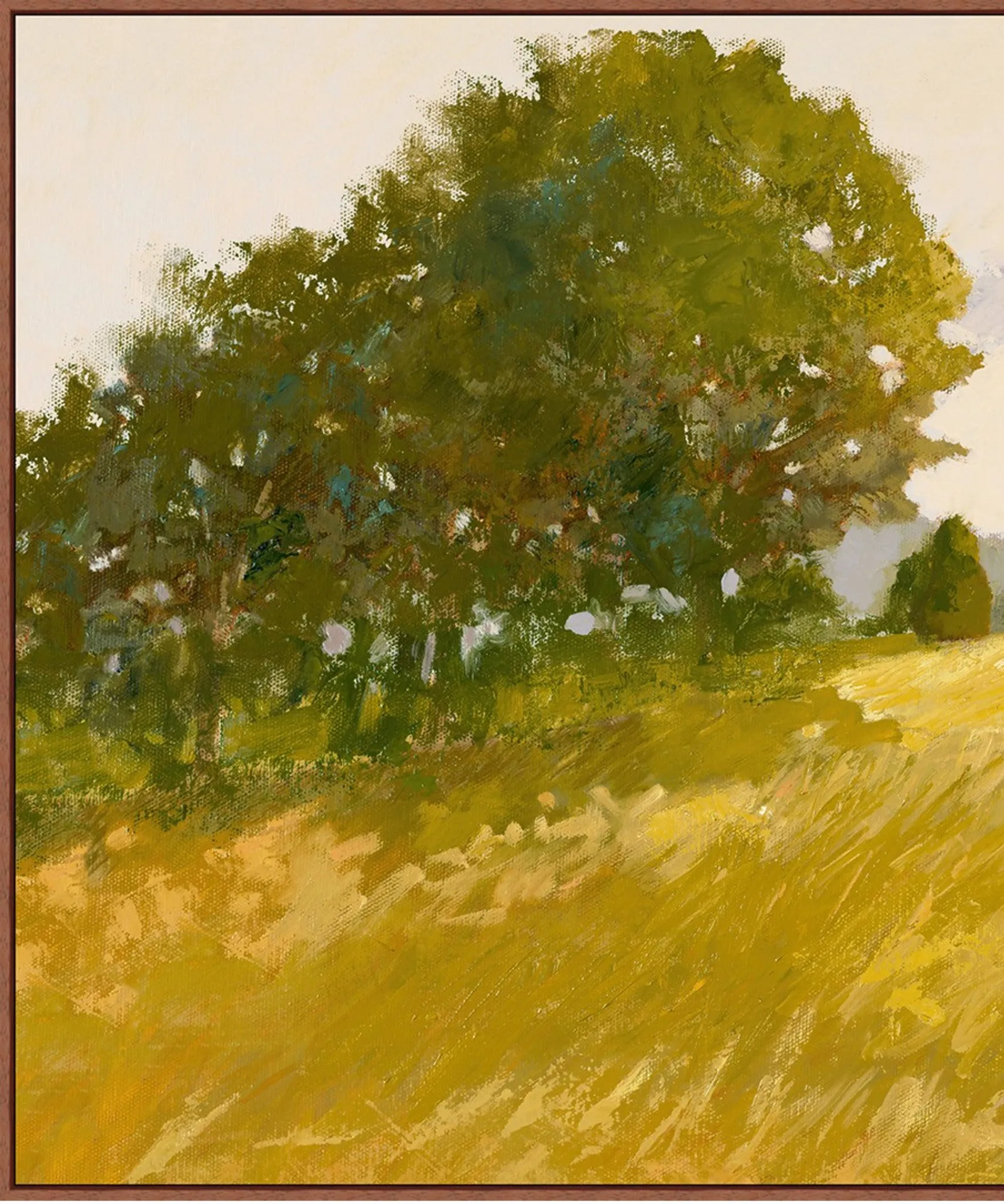 Summer Field