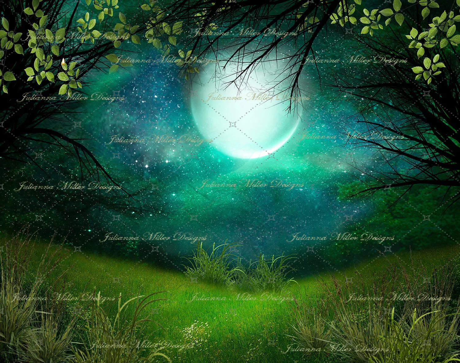 Summer Solstice