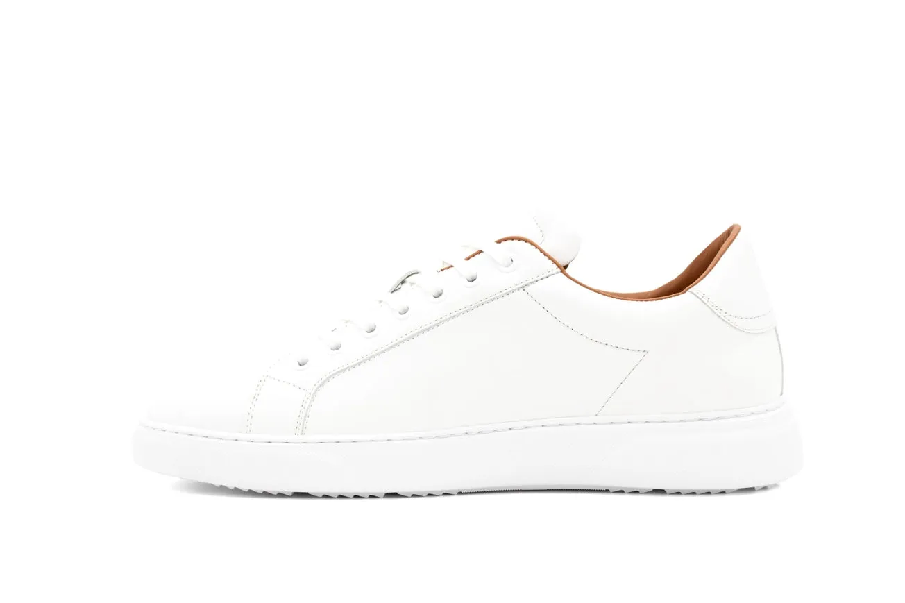 White Sneakers
